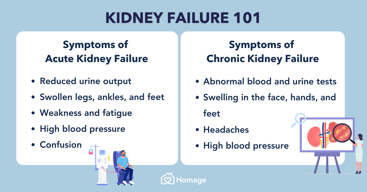 Kidney Failure 101 Symptoms Stages Causes And Prevention Homage Malaysia