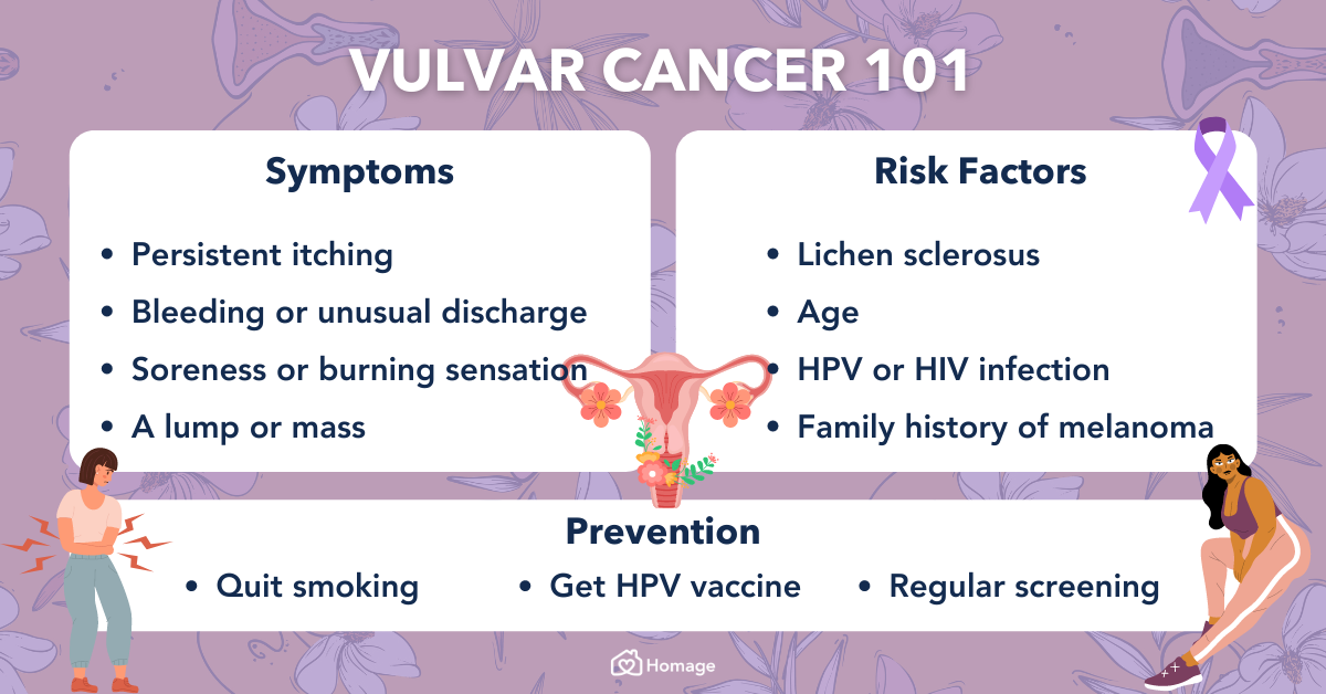 vulvar cancer infographic