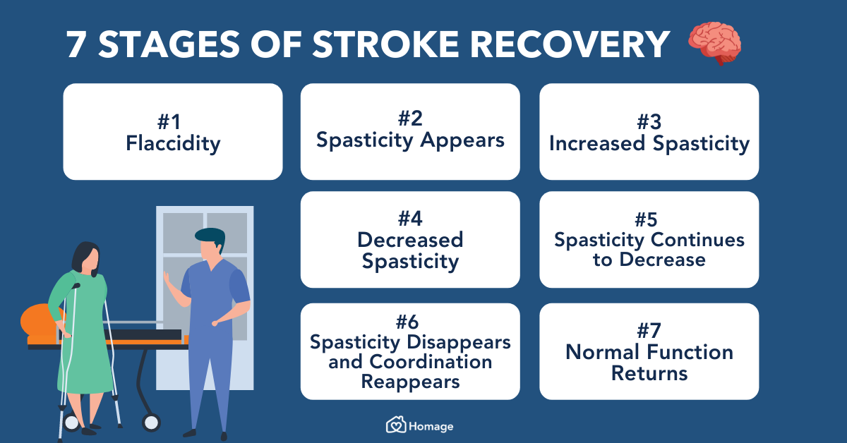 Brunnstrom 7 Stages of Stroke Recovery