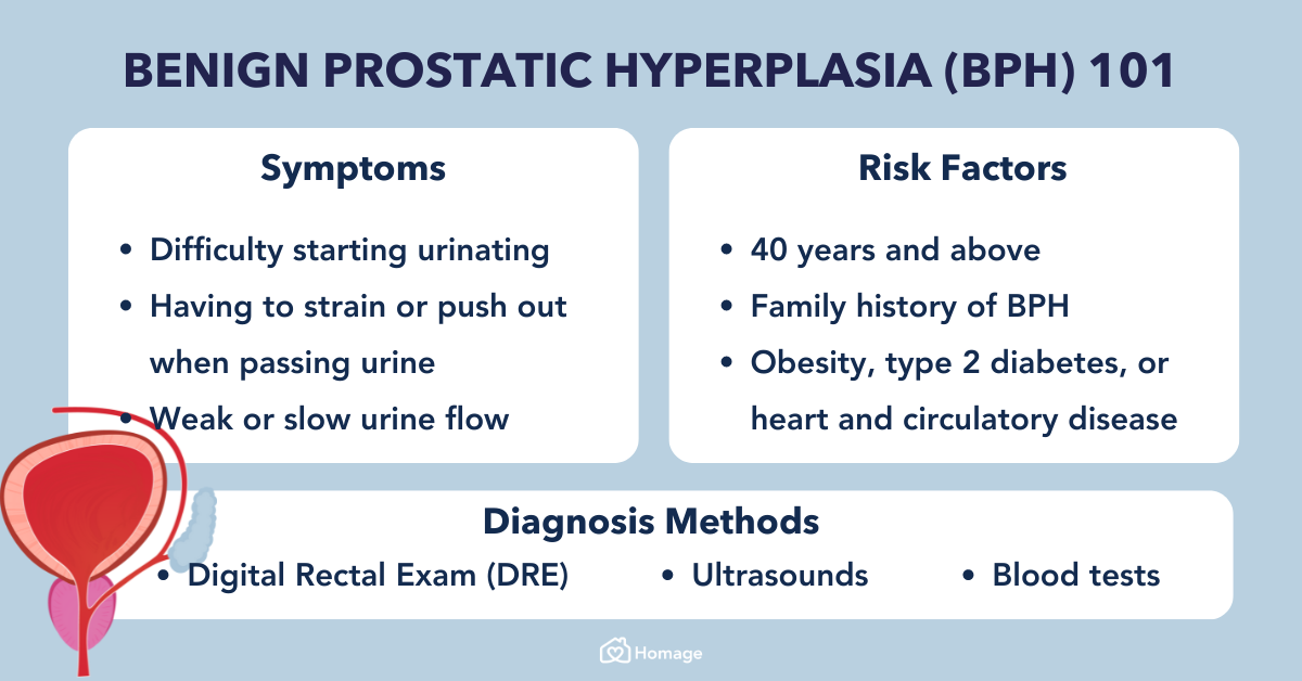 Male Prostate Gland Problems - Benign Prostatic Hyperplasia (BPH) 101: Causes, Symptoms, Treatment