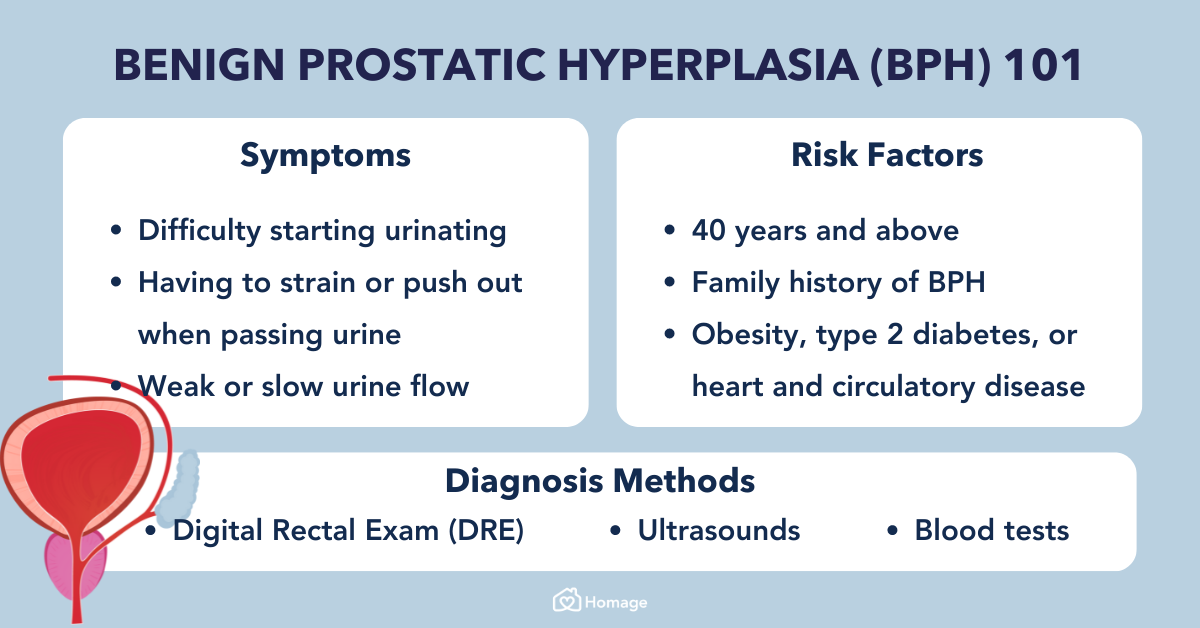 Benign Prostatic Hyperplasia (BPH): Symptoms & Treatment