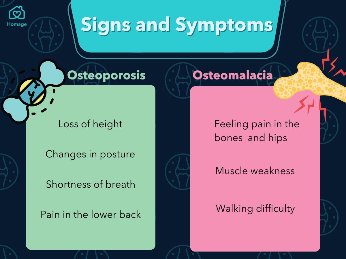 Osteoporosis vs Osteomalacia What’s the Difference? Homage Malaysia