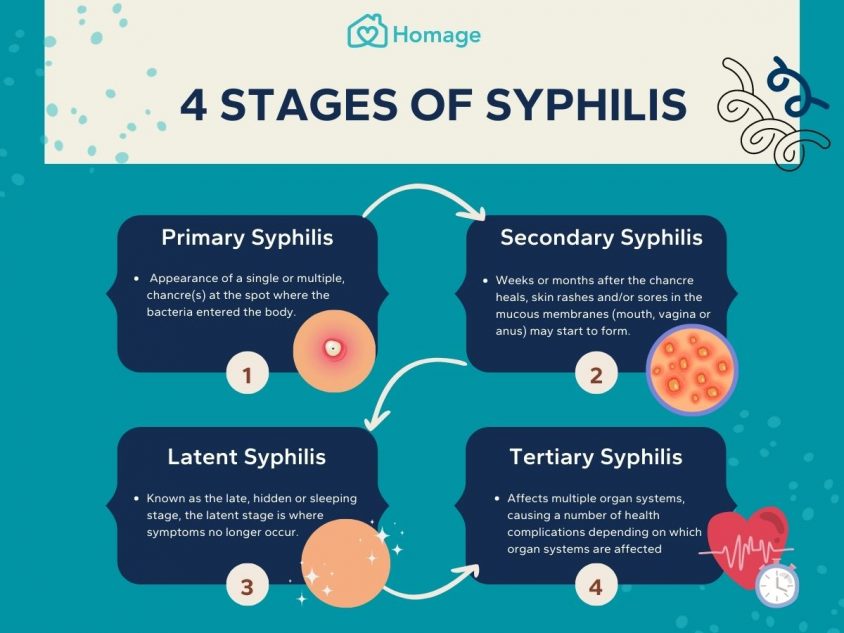 Stages Of Syphilis Infection